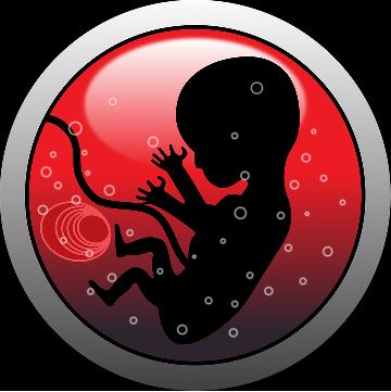 embryo, zdroj: www.pixabay.com, CC0 Public Domain 